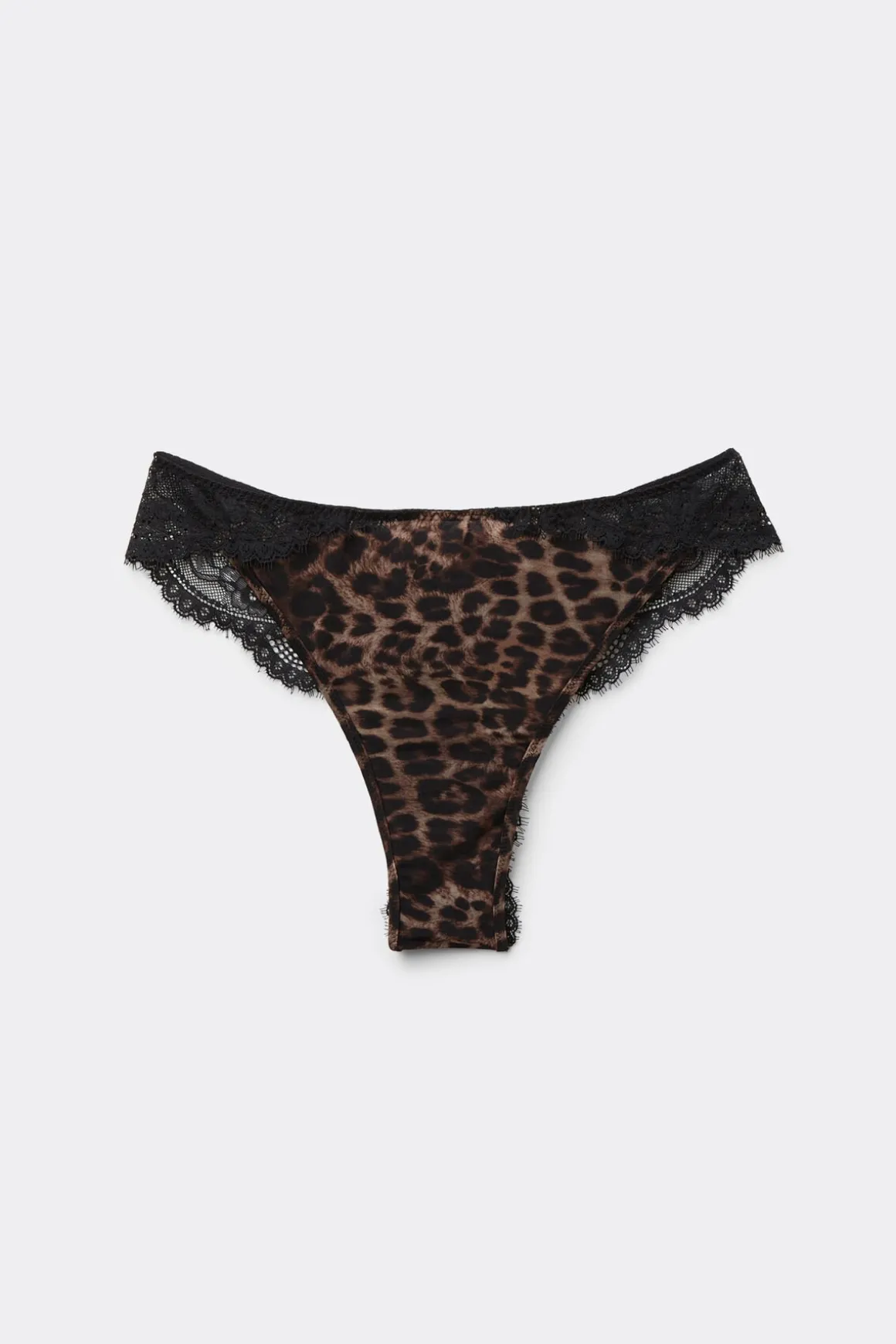 Braguita Brasileña Luxurious Leopard